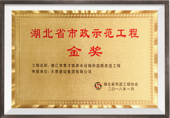 2018年湖北省市政示范工程金獎